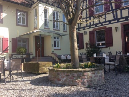 Foto: Gruener Baum